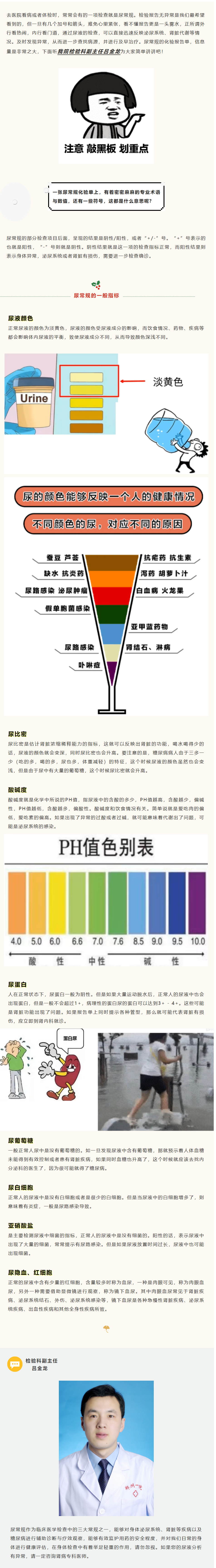 尿常规检验，都有啥用处？_看图王.png